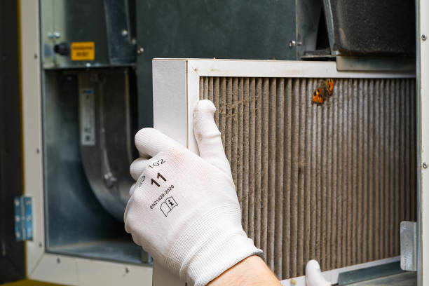 Best Affordable Duct Cleaning Services  in Lillian, AL