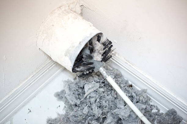 Best Air Vent Cleaning Services  in Lillian, AL
