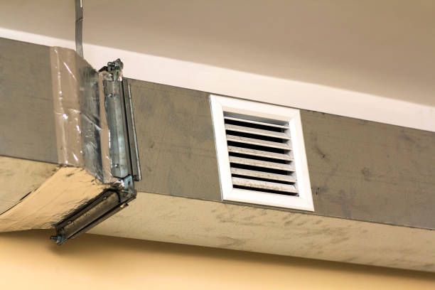 Best Residential Air Duct Cleaning  in Lillian, AL